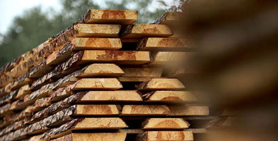 Solid pine cabin bed, natural Scandinavian Montessori design for children's bedroom.