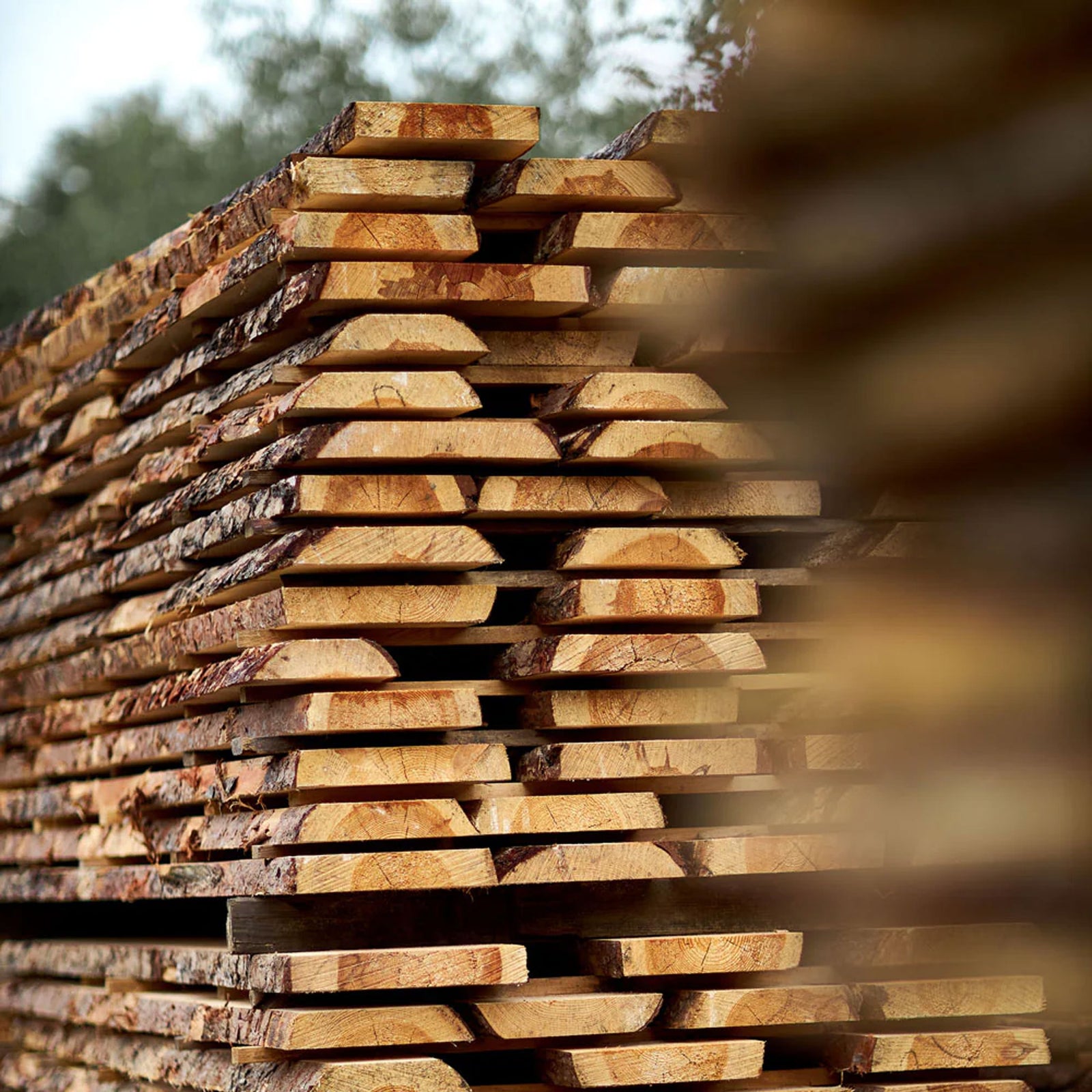 Batch of untreated raw wood planks, ideal for construction, DIY or carpentry.
