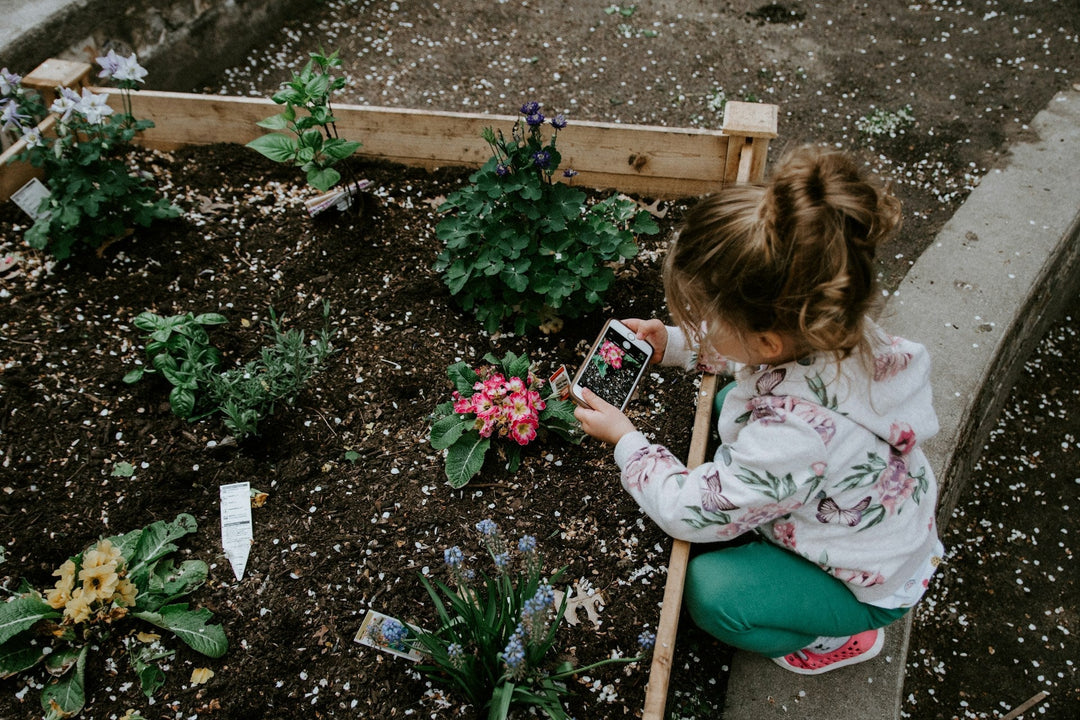 Jardinage pédagogique : comment cela peut-il stimuler la créativité des jeunes ?